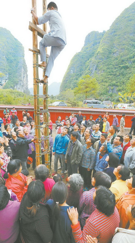 黄花人口醮_黄花风铃木