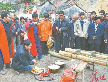 竖起刀杆之前,用活鸡鸭来祭祀祈求平安。