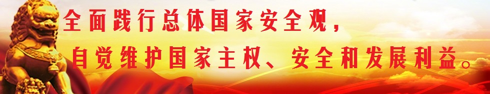 坚持总体国家安全观，构筑维护国家安全钢铁长城。