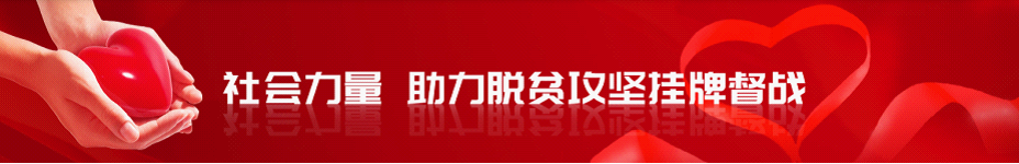 社会力量 助力脱贫攻坚挂牌督战