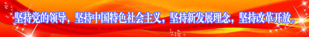 坚持党的领导，坚持中国特色社会主义，坚持新发展理念，坚持改革开放。