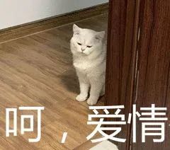 转存图片