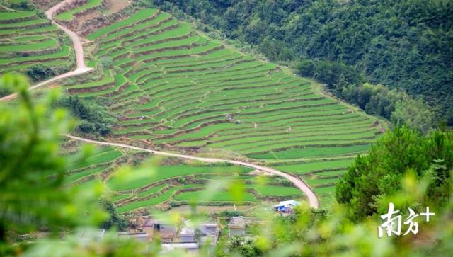 黑山村梯田。记者黄津 摄