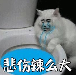 微信图片_20210519085232.png