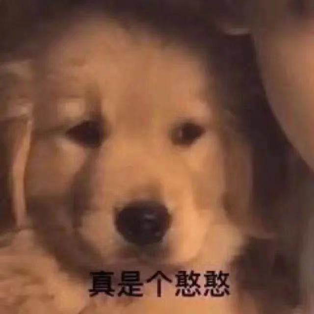 微信图片_20210810085812.jpg