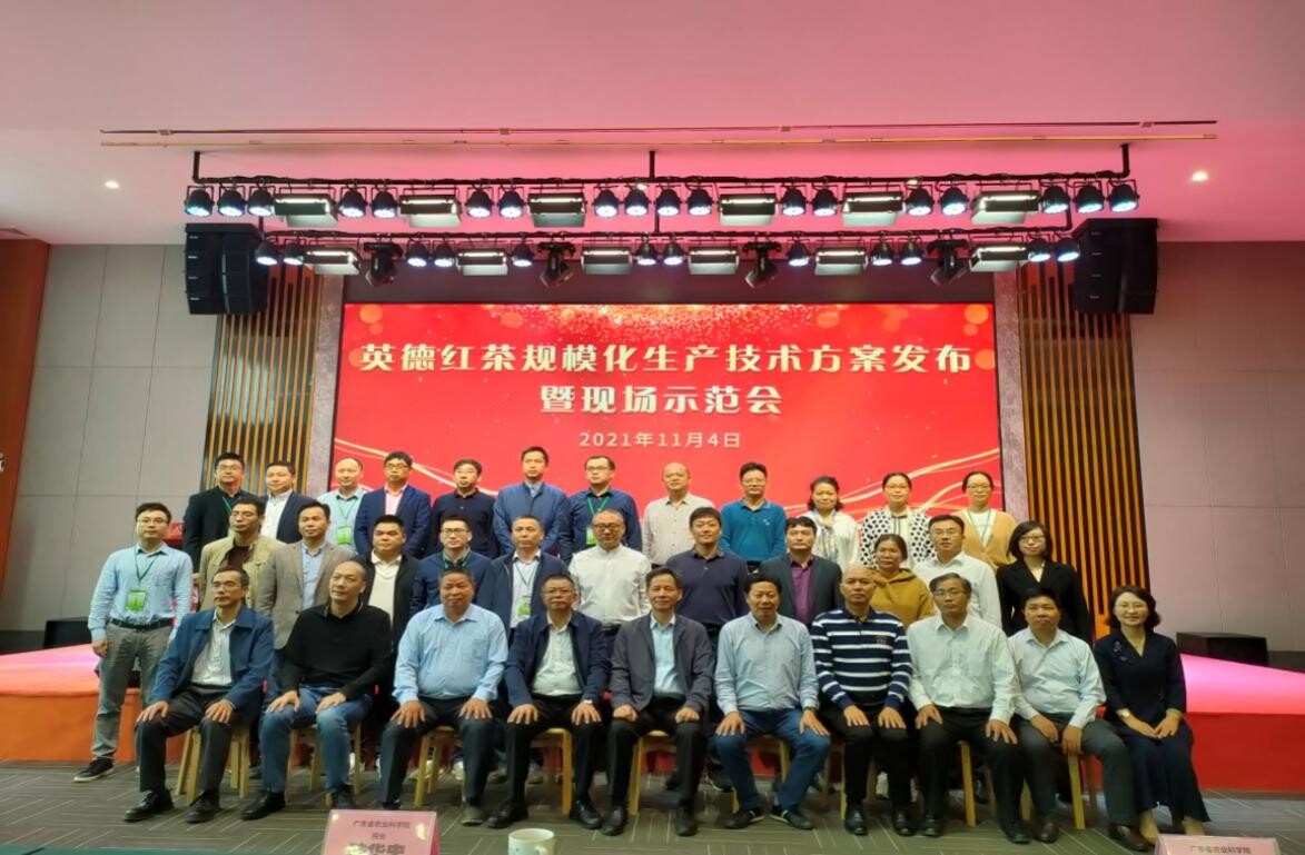 英德红茶规模化生产技术方案发布暨现场示范会成功举办