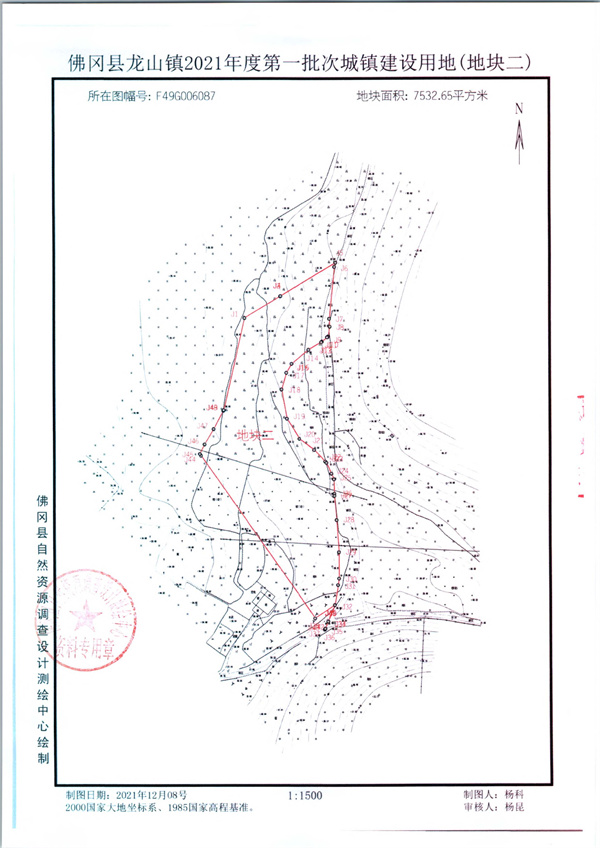 龙山镇2021年度第一批次红线图_页面_2.jpg