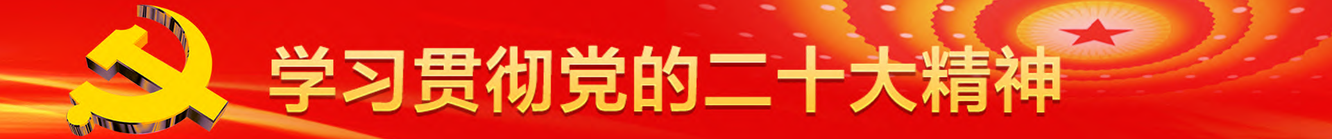 第二十届全国人民代表大会