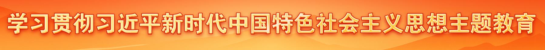 学习贯彻习近平新时代中国特色社会主义思想主题教育