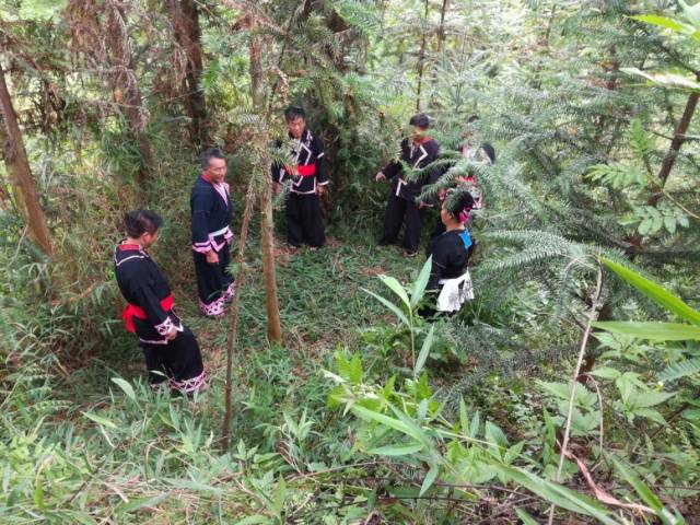  “瑶老”人民调解员翻山越岭到现场开展调解。