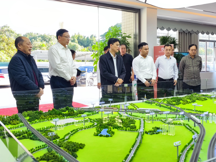 看进度、解难题、促发展 副市长岑中坚到高新区调研