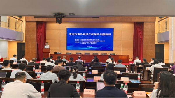 开展海外知识产权保护培训 护航企业扬帆“出海”(图1)