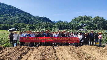 市农推中心举办2024年下半年农作物病虫发生趋势会商暨豇豆病虫绿色防控技术培训班(图2)