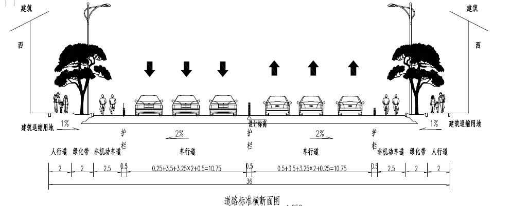 道路横断面.jpg