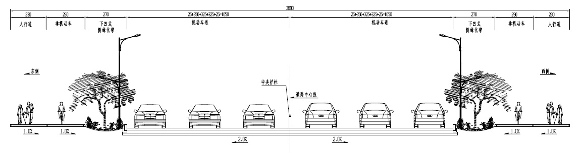 横断面.jpg