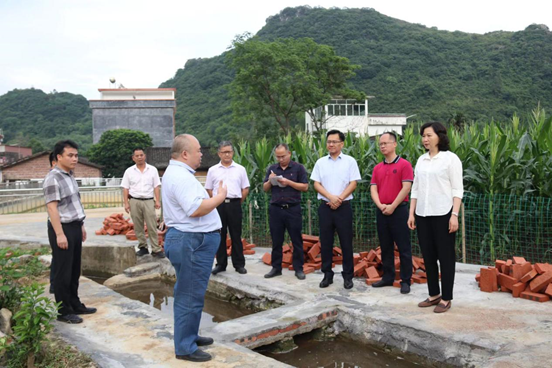 县委书记邓菲 "两会"期间带队到黎埠镇凤山村委会万角
