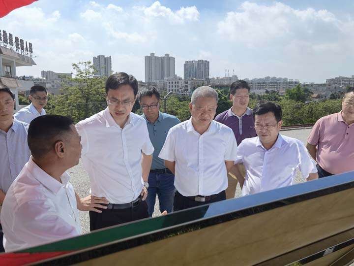 "龙舟水"将至副市长林科聪检查北江大堤(清远段)防汛