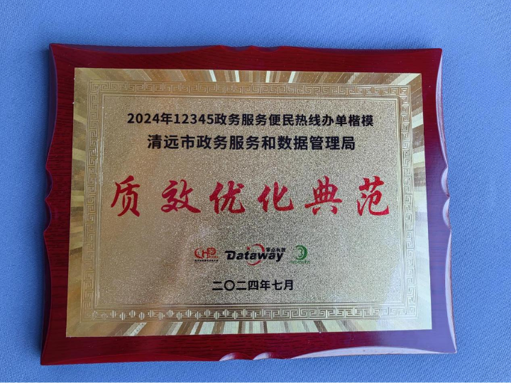 质效优化典范获奖奖牌.jpg