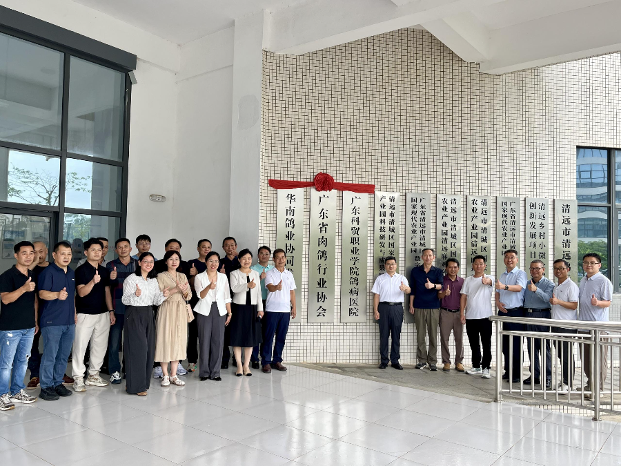 全市首场成果路演启动，助力肉鸽产业展翅高飞