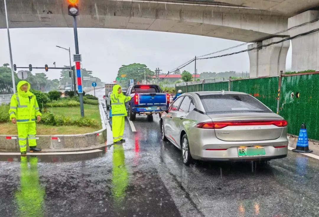 清新_副本.jpg
