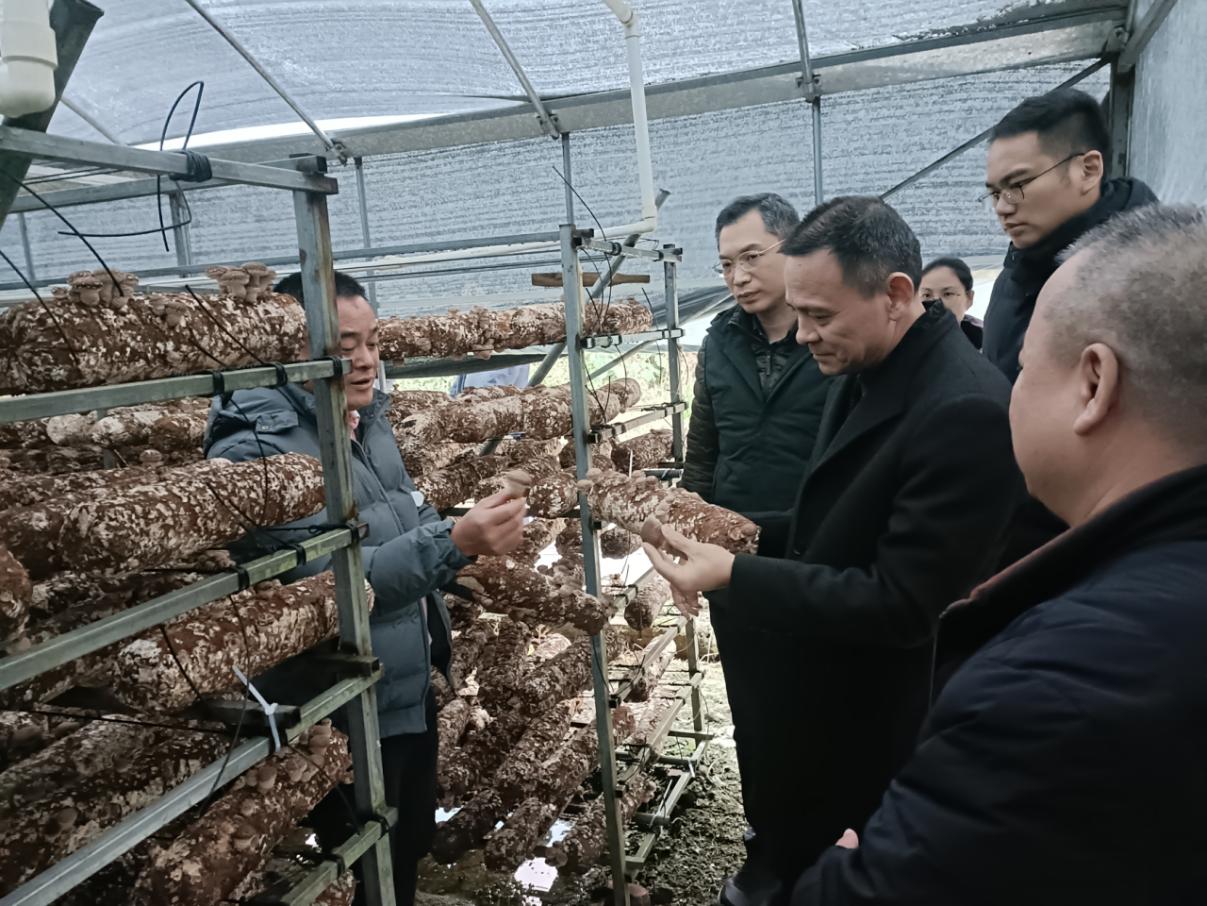 广州市花都区退役军人事务局到清远市连南开展退役军人服务新型帮扶协作交流.doc_2